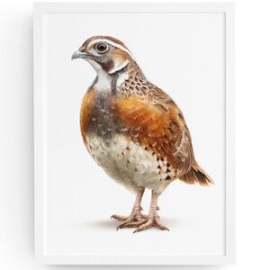 Watercolor Quail Wall Art Print, Unframed - Vibrant Nature-Inspired Home Decor